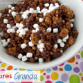 smores granola