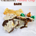 Caramel Potato Chip Bark by www.crazyforcrust.com #bark #candy #caramel