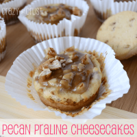 Pecan Praline Cheesecakes by www.crazyforcrust.com | A Pecan Sandie crust topped with toffee cheesecake and a pecan praline topping. #praline #cheesecake