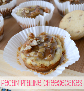Pecan Praline Cheesecakes by www.crazyforcrust.com | A Pecan Sandie crust topped with toffee cheesecake and a pecan praline topping. #praline #cheesecake