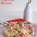 Triple White Chocolate Peppermint Blossoms by www.crazyforcrust.com | A soft white chocolate pudding cookie with Peppermint Kisses!