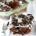 Chocolate-Mint-Poke-Cake-2-words
