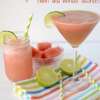 watermelon-lemonade-margarita (5 of 6)w