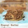 peanut-butter-coffee-cake (4 of 5)w