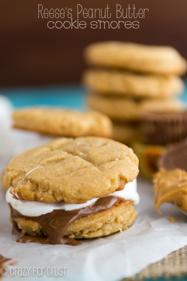 Reese's Peanut Butter Cookie S'mores | crazyforcrust.com | A s'more made with a peanut butter cup!
