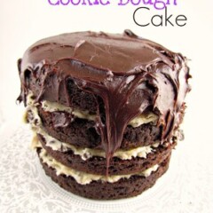 Chocolate Cookie Dough Cake with fudge frosting