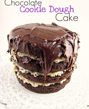 Chocolate Cookie Dough Cake with fudge frosting