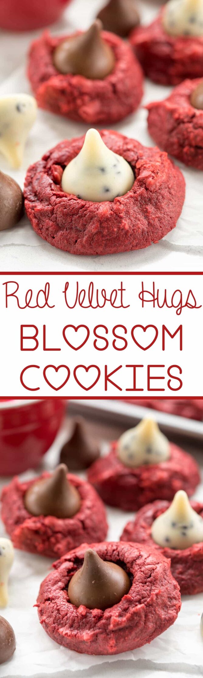 red velvet blossom cookie