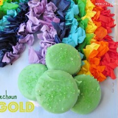 rainbow tissue paper with green chocolate dipped ritz crackers at end