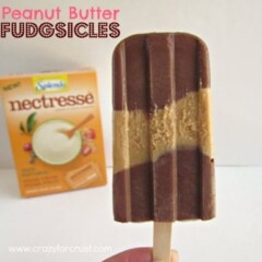 Peanut butter fudgsicle with title