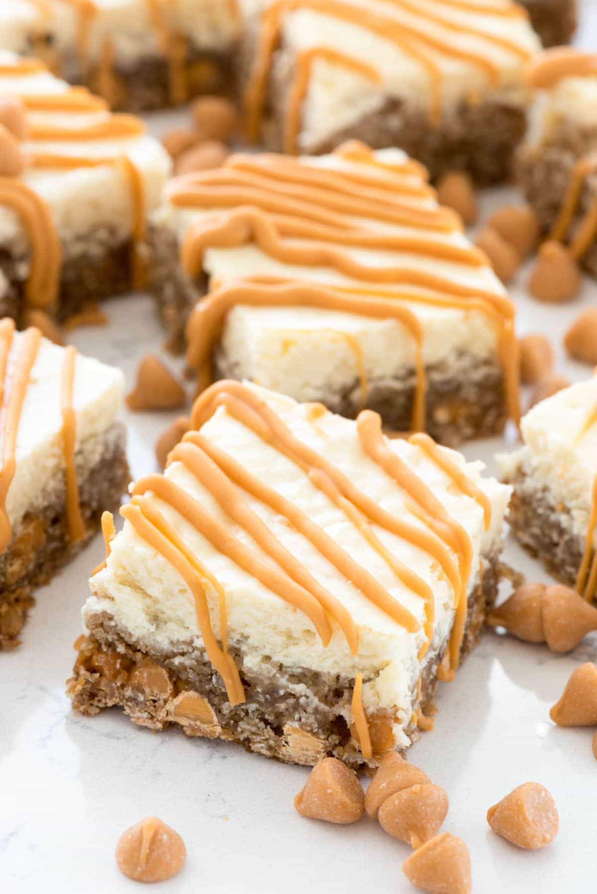 Oatmeal Scotchie Cheesecake Bars - this easy recipe combines oatmeal scotchie cookie bars with creamy cheesecake!