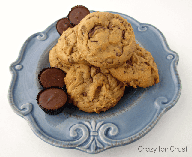 Skinnier butterscotch reese's pudding cookies on a blue decorative plate with mini reese's cups