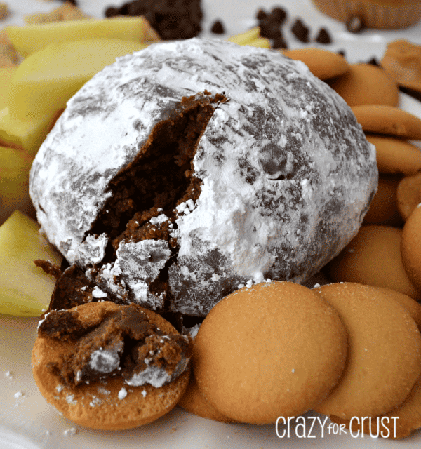 muddy buddy cheeseball rolled in powdered sugar on a white plate with apple slices and cookies with bite missing