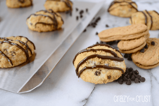 nutter butter cheesecake cookies with chocolate drizzle on marble slab and cookie sheet