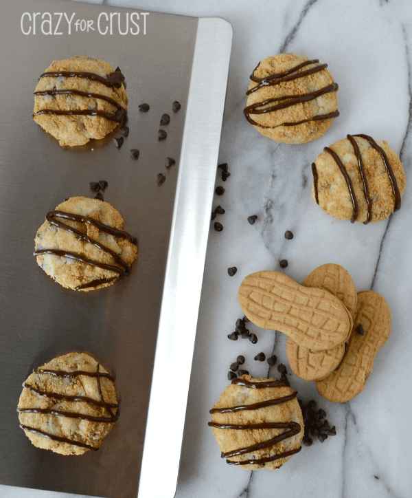 nutter butter cheesecake cookies with chocolate drizzle on marble slab and cookie sheet