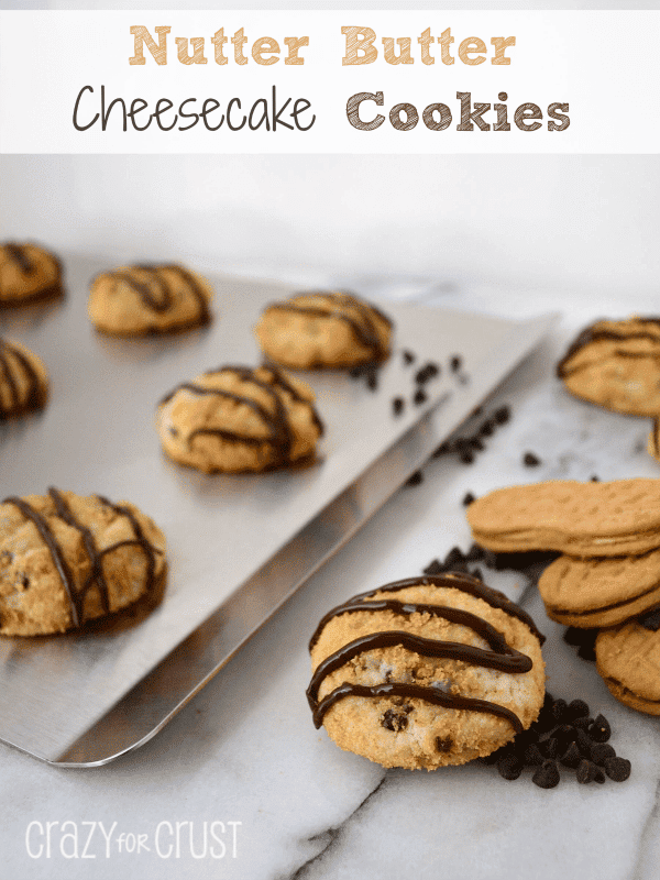 nutter butter cheesecake cookies with chocolate drizzle on marble slab and cookie sheet