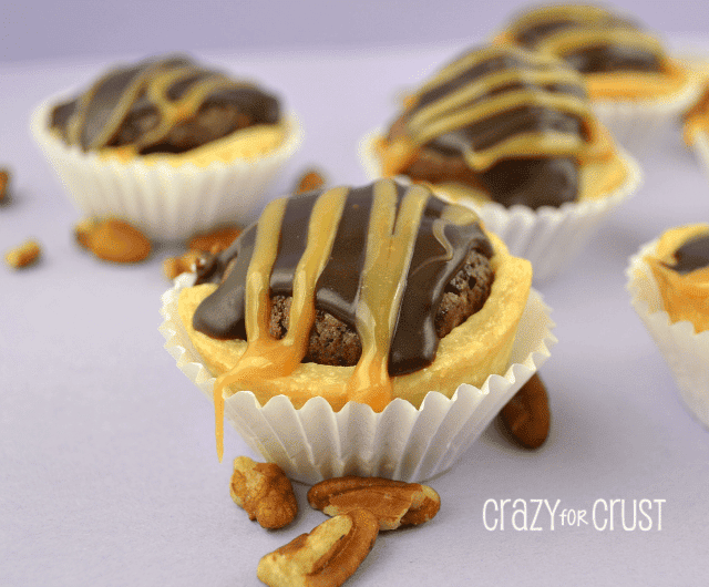 turtle brownie pies on purple background