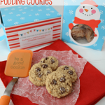 Oatmeal pudding cookies on a red napkin next to an orange spatula, with graphic title on the top.