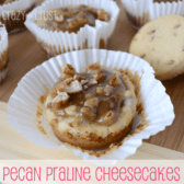 Pecan praline cheesecakes in white cupcake liners, with graphic title on the bottom.
