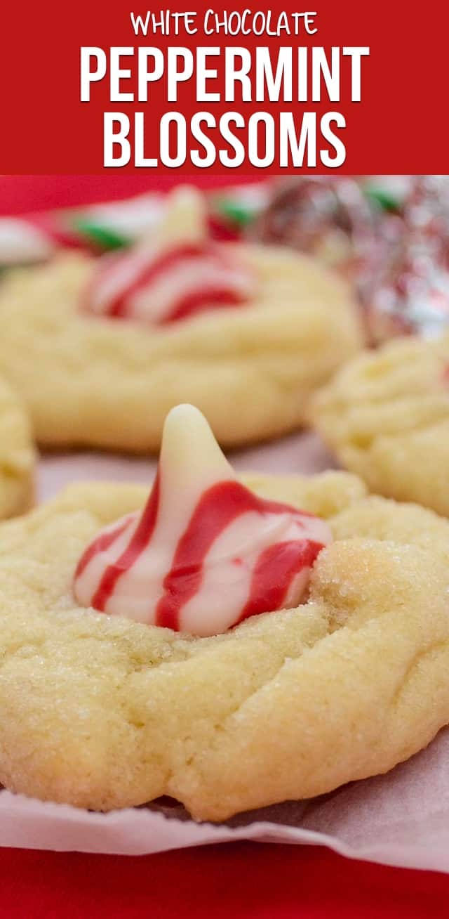 These white chocolate Peppermint Blossoms are a blossom cookie recipe made with pudding mix and white chocolate and topped with a peppermint kiss!