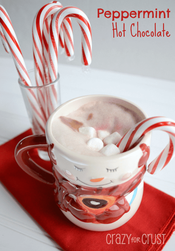 peppermint hot chocolate in christmas mug with candy canes