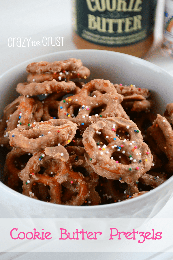 biscoff pretzels in white bowl