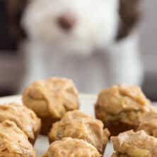 plate of pupcakes with dog behind