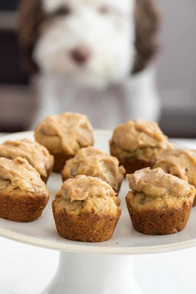 peanut butter pupcakes on white cake plate with dog behind