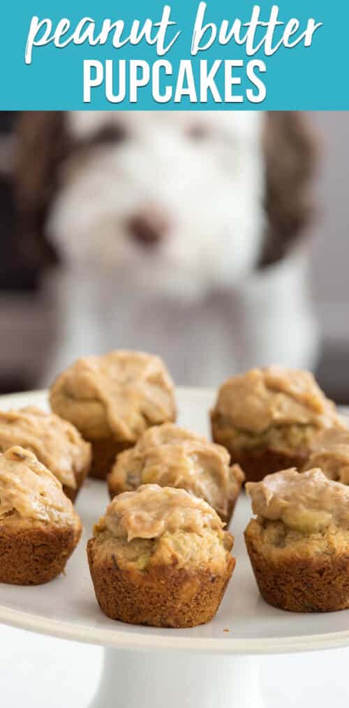 peanut butter pupcakes