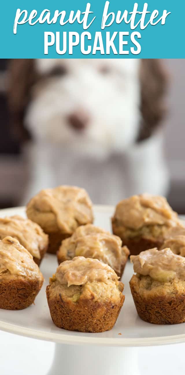 plate of pupcakes with dog behind