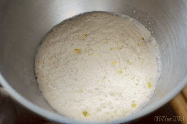 Overhead shot of yeast in stainless steel mixing bowl