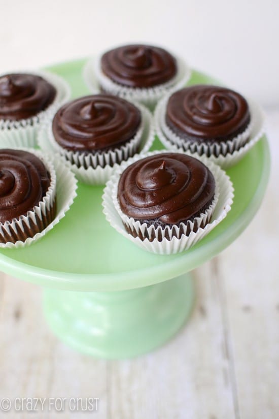 The Best Chocolate Cupcakes Crazy for Crust