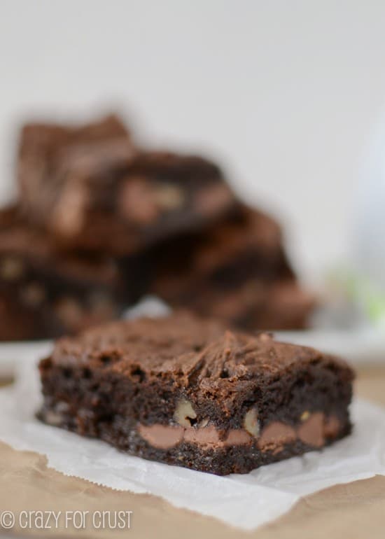 slice of chocolate cake bar with walnuts on parchment paper