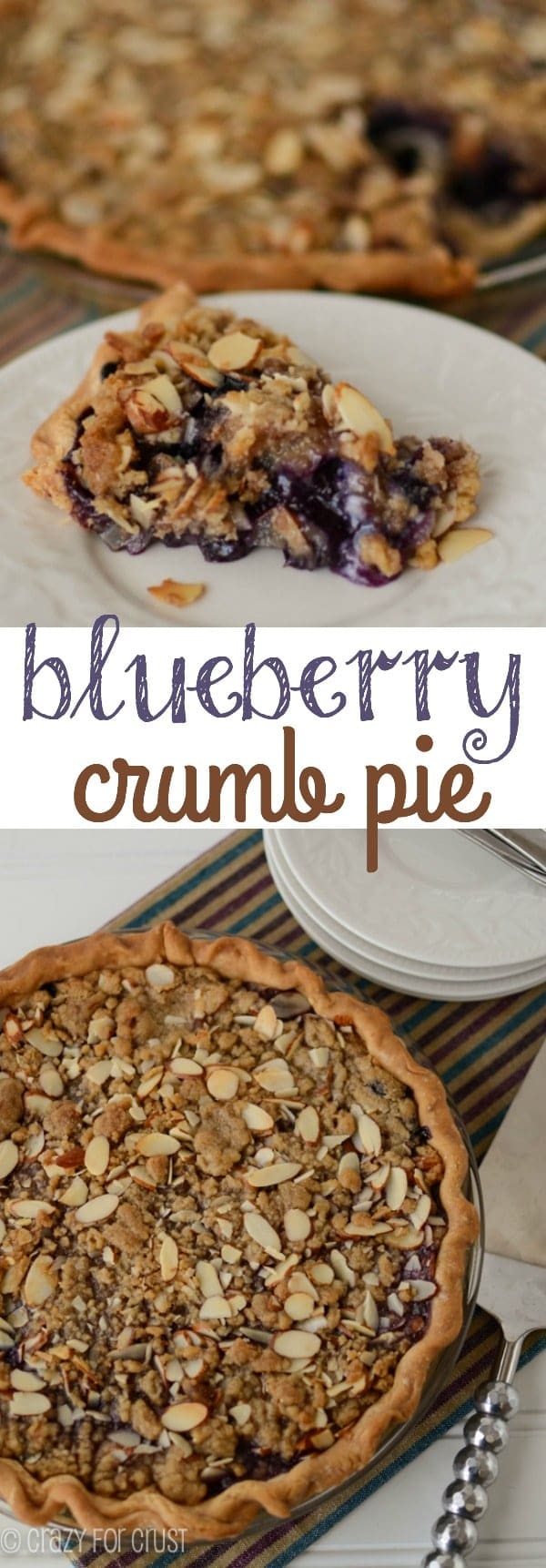 blueberry crumb pie