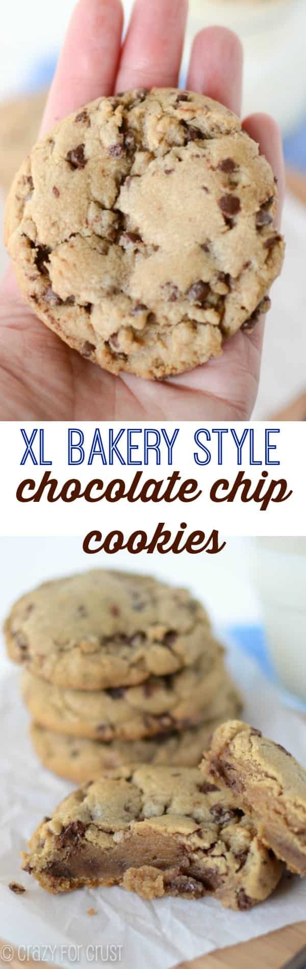 XL Bakery Style Chocolate Chip Cookies