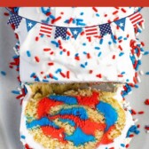 Overhead photo of patriotic cake roll with covered with red, white and blue spinkles