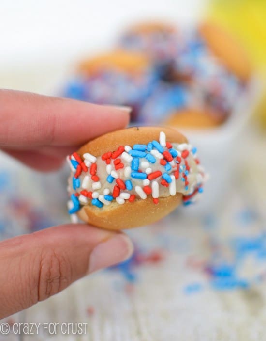 skinny-ice-cream-sandwiches (4 of 7)