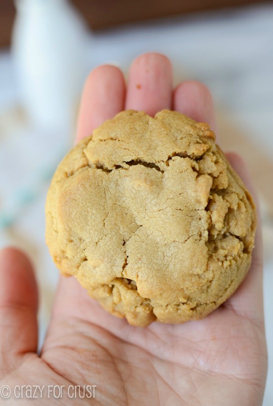 Person holding a peanut butter cookie