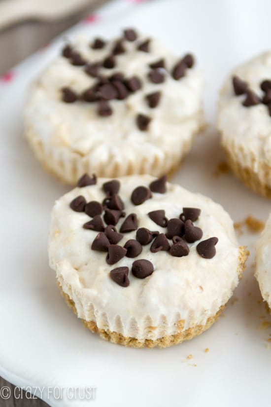 Skinny Frozen Peanut butter pies on a white plate 