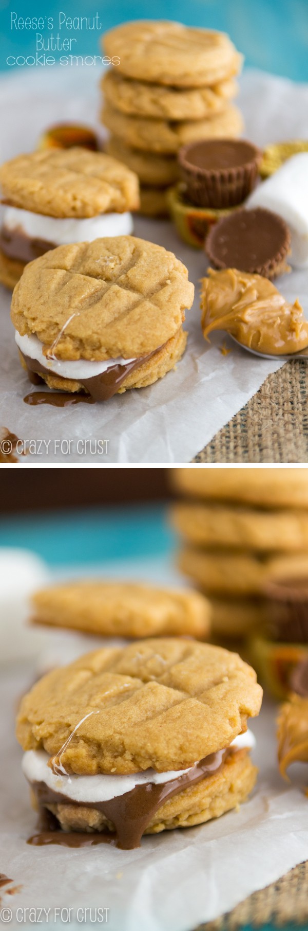 Photo collage of Reese's Peanut Butter Cookie S'mores on white parchment paper