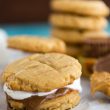peanut butter cookie sandwiches with marshmallows and chocolate