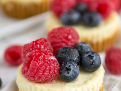 mini fruit tart cheesecakes