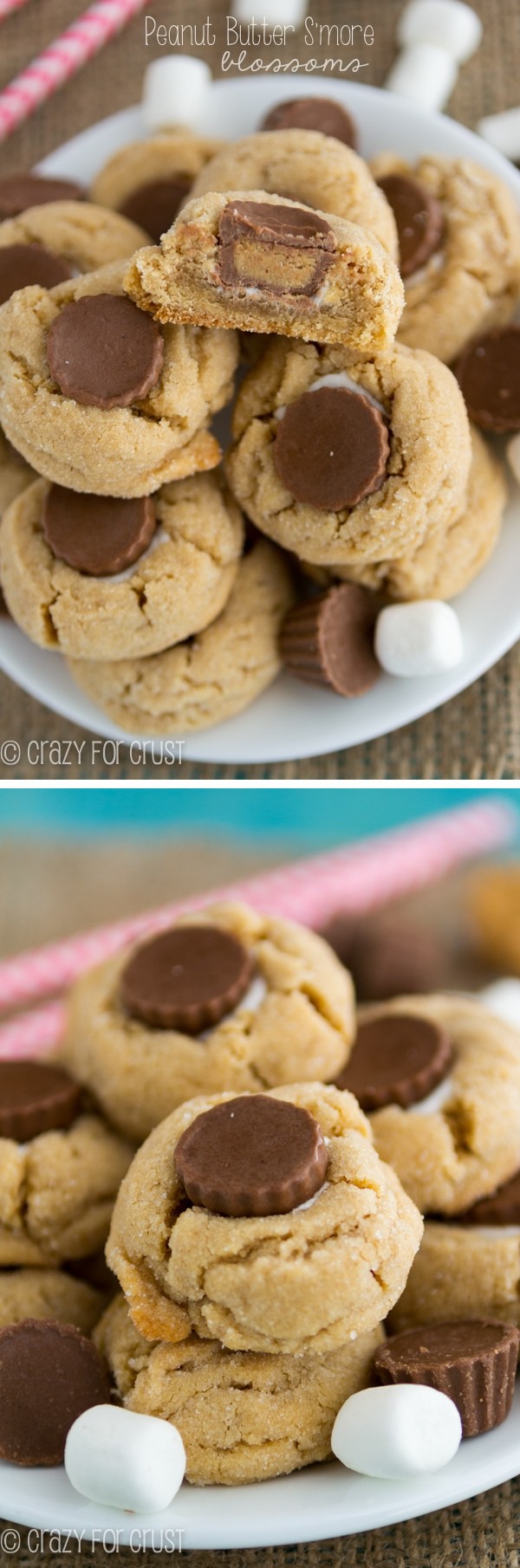 Peanut Butter S'more Blossoms collage