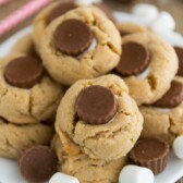 Peanut Butter S'more Blossoms sitting on a white plate with marshmallows spread around and text on top