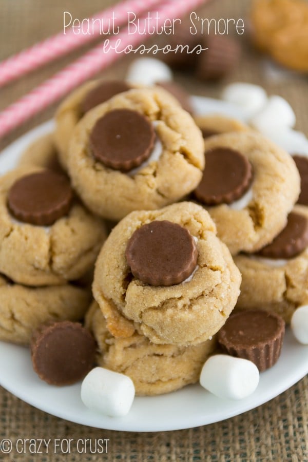 s'more peanut butter blossoms (1 of 5)w