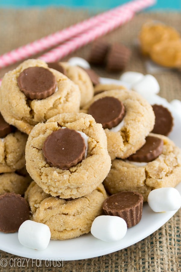 Peanut Butter S'more Blossoms sitting on a white plate with marshmallows spread around