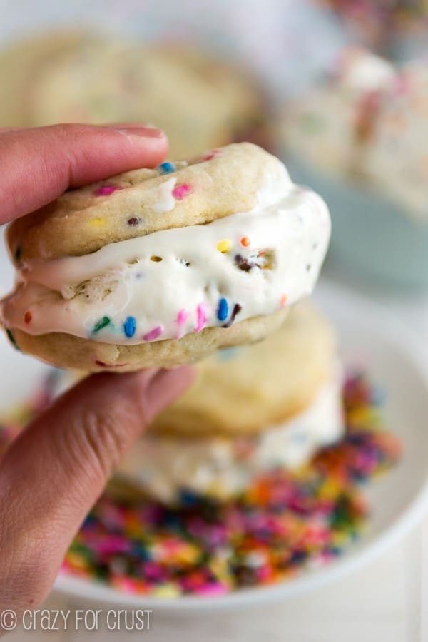 Funfetti Cake Batter Ice Cream Sandwiches (5 of 10)