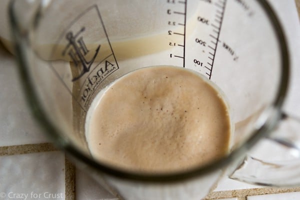 Yeast starter for friendship bread.