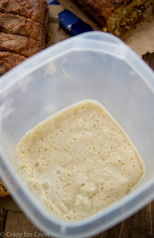 Amish Friendship Bread: Day 10 yeast mixture
