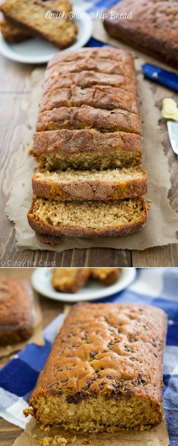 Amish Friendship Bread Recipe with a recipe for how to make the starter! This makes the most wonderful bread!